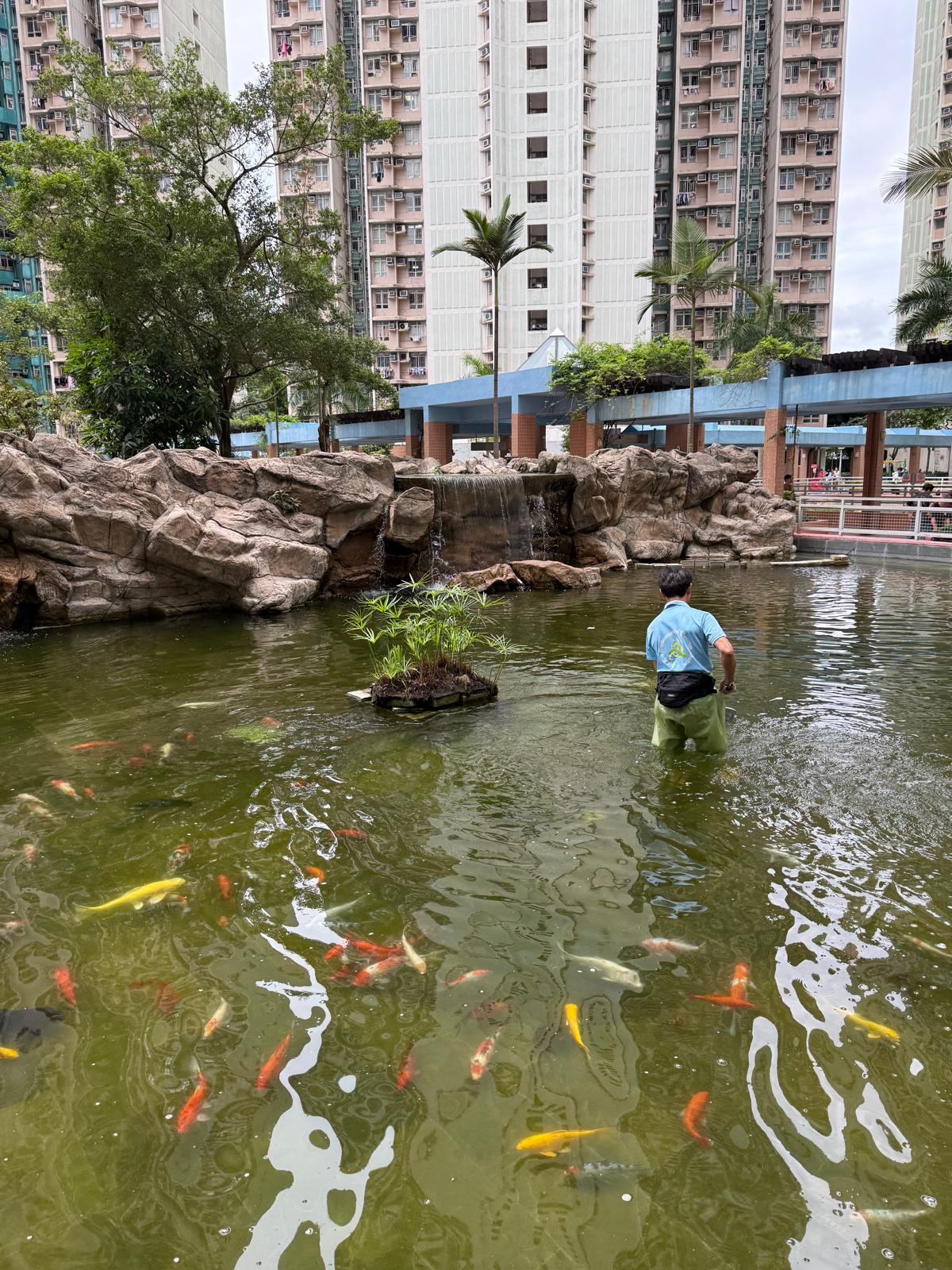 whatsapp 圖片2025 05 1617.26.50 ce07be90